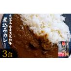 産黒毛和牛カレー 3袋
