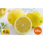 瀬戸内海の島レモン 秀品 約5kg