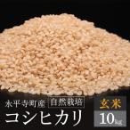 令和7年産 新米 自然栽培米 コシヒカリ 玄米 10kg