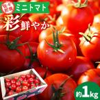 ミニトマト 1kg