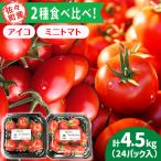 ミニトマト 2種セット 総計4.5kg