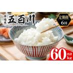 五百川 合計60kg