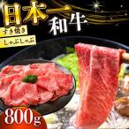 A4-A5 長崎和牛しゃぶしゃぶすき焼き用 800g