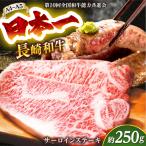 A4-A5 長崎和牛サーロインステーキ 250g×1