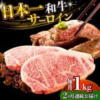 A4-A5 長崎和牛 サーロインステーキ 250g×4