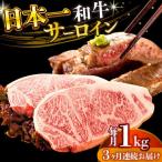 A4-A5 長崎和牛 サーロインステーキ 250g×4
