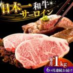A4-A5 長崎和牛 サーロインステーキ 250g×4