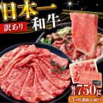 A4-A5 長崎和牛 しゃぶしゃぶ すき焼き 750g