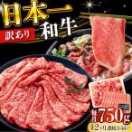 A4-A5 長崎和牛 しゃぶしゃぶ すき焼き 750g