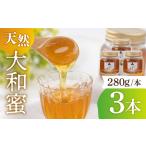 大和蜜 天然はちみつ 280g×3本