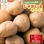 キタアカリ 約5kg