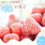 冷凍いちご 越後姫 冷凍イチゴ1kg 苺 イチゴ