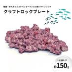 クラフトロック 水槽