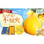 ふるさと納税 先行予約 不知火 約3kgセット ／ 季節限定 柑橘 かんきつ しらぬい フルーツ 果物 長崎県 長崎市 野中果樹園 オンライン決済限定 .. 長崎県長崎市