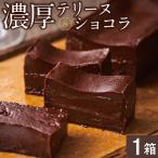 2522 オクタス テリーヌ ショコラ 1箱
