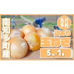 ふるさと納税 【5-6月出荷】 訳あり 不揃い 玉ねぎ 5kg 先行予約 たまねぎ 愛知県南知多町