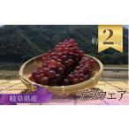 長良ぶどう デラウエア 約2kg