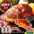 飛騨牛生ハンバーグ 8個