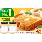 ふるさと納税 はちみつ はちみつバター雪白250g×2本セット[ANBT001] はちみつ 岐阜県岐阜市