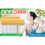 ふるさと納税 プロテイン サジープロテインバー ２箱（24本入り） [ANDF002] プロテイン 岐阜県岐阜市