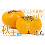 ☆2026年出荷☆ 秋王 約1.7kg