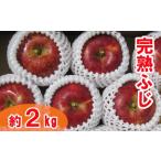 旬のりんご 洋梨セット 大玉 約2kg
