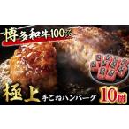 手ごね ハンバーグ 10個
