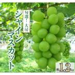 ふるさと納税 旬選!大房シャインマスカット 2房〜3房(約1.2kg)【1119038】 山梨県山梨市