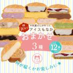訳あり アイスもなか 3種