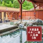 のめこい湯温泉ご優待券 5枚