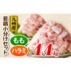 九州産若どり4.4kg小分けセット 若どり