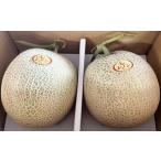 ふるさと納税 レノン メロン 2玉入り（1玉1.5kg以上） 計3kg以上 赤肉メロン フルーツ 果物 赤肉【2026年4月下旬〜5月下旬迄順次発送予定】 熊本県熊本市