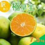 こだわりの極早生みかん 約7.5kg
