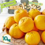 訳アリ完熟小玉ぽんかん 10kg