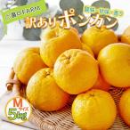 訳ありポンカン Mサイズ