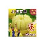 土佐文旦 B級品 約7 13個入り