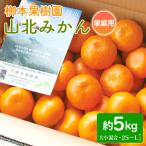 柳本果樹園の山北みかん 5kg