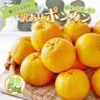 訳ありポンカン サイズ混合