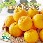 訳ありポンカン サイズ混合