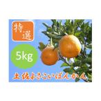 土佐よさこいぽんかん JA01