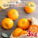 訳ありポンカン 3kg