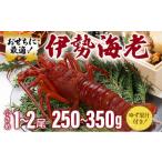 ふるさと納税 伊勢海老おせちサイズ 1~2尾セット【冷凍】 国産 東洋町産 天然 新鮮 海鮮 ゆず果汁付き 刺身 焼き ボイル 生 四国 お取り寄せ お.. 高知県東洋町