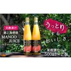 ~うっとりするおいしさ~徳之島のマンゴージュース 2本