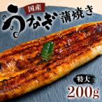 うなぎ蒲焼 有頭 特大 200g以上