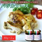 手作りバジルソース 40g×2個