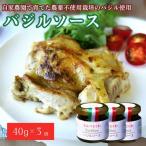 手作りバジルソース 40g×3個
