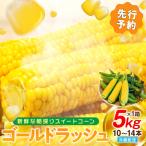 スイートコーン 約5kg