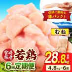 若鶏切身 むね肉 4.8kg