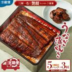 鰻蒲焼き鰻5パック 定期便3回 うなぎ