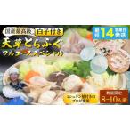 1日10セット 白子付 天草とらふぐフルコース